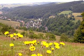 Das Muldetal um Rechenberg-Bienenmühlne